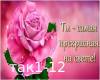 Ty tak prekrasna