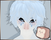 ⊹ Dream Usih