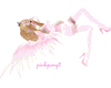 [pp2] angel