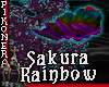Rainbow Sakura Rose