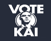 Vote Kai - Banner