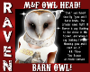 M & F BARN OWL HEAD!