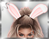 Cute lil Bunny Ears