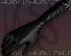 ☼ Empress Gloves (G)