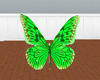 {KC} green butterfly