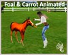 |DRB| Foal & Carott