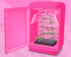 $ Pink grow machine