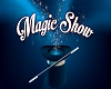 MAGIC SHOW STAGE