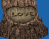 (7) Love Stump