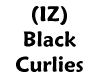 (IZ) Curlies Black