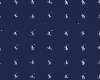 USPA F
