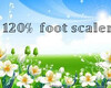 120% foot scaler