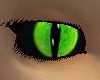 Kitty Catz Green Eyes