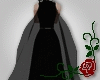 Witchcraft Cape