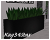 Modern Black Planter