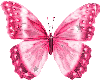 Xparent Pink Butterfly