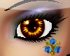 [SC] Brown Eyes