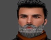Graying Beard