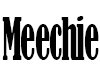 KC-Meechie Chain Gold M