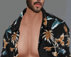 Summer long shirt