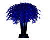 Blue Blue plant