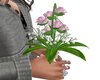 Flowers W triggers