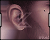 々Perfect Ears.
