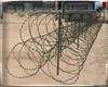WR* Triple Barbed Wire