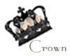 Small Black Crown - M