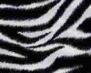 (V) Zebra carpet