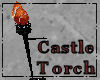 Ivancovia Castle Torch