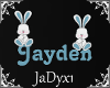 Jayden Name Sign