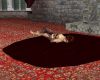 burgundy love rug