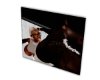 scam_custom2
