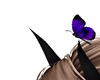 horns purple butterfly
