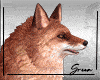 Fox Pet