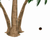 ch)coconut palm animated
