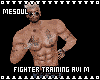 Fighter Training Avi M