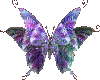 PD}Flutterfly