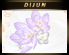 D.H. Lilac Shim Lotus