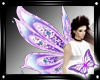 !! Butterfly Wings