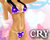 Cry - Dot Purple Bikini