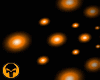 SQ Lights Gold