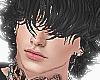 SN l Zein