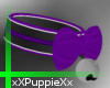Neko Small Collar Purple