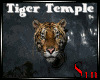 Tiger Temple Bundle