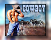 :) Cowboy horses