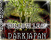 !P^ Plant WILLOW JAPAN