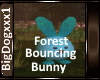 [BD]ForestBouncingBunny