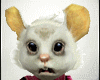 The Dormouse Avatar